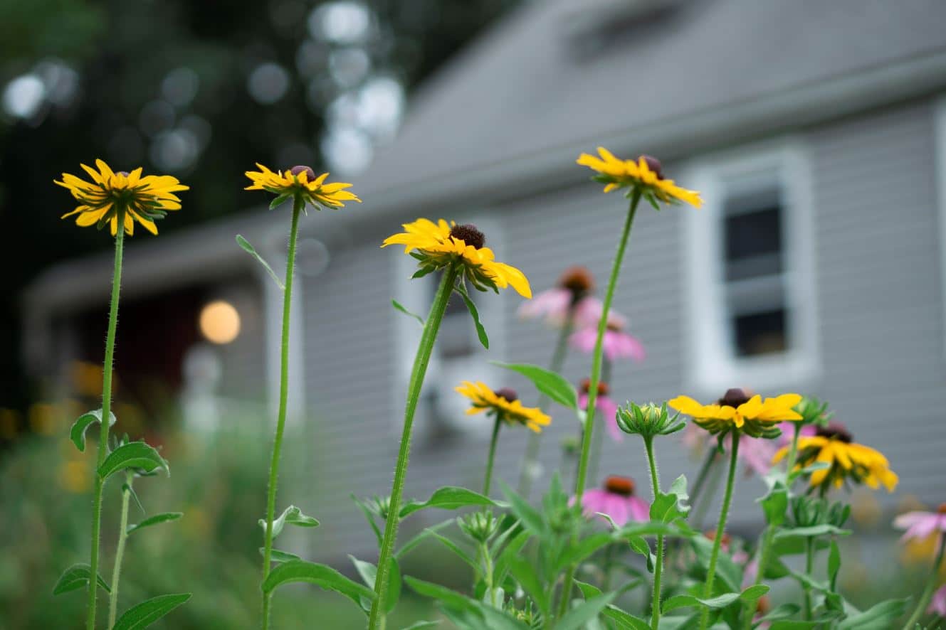 Prairie Moon Nursery results