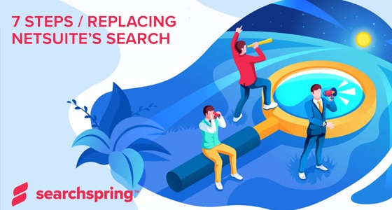 Replacing NetSuite Search