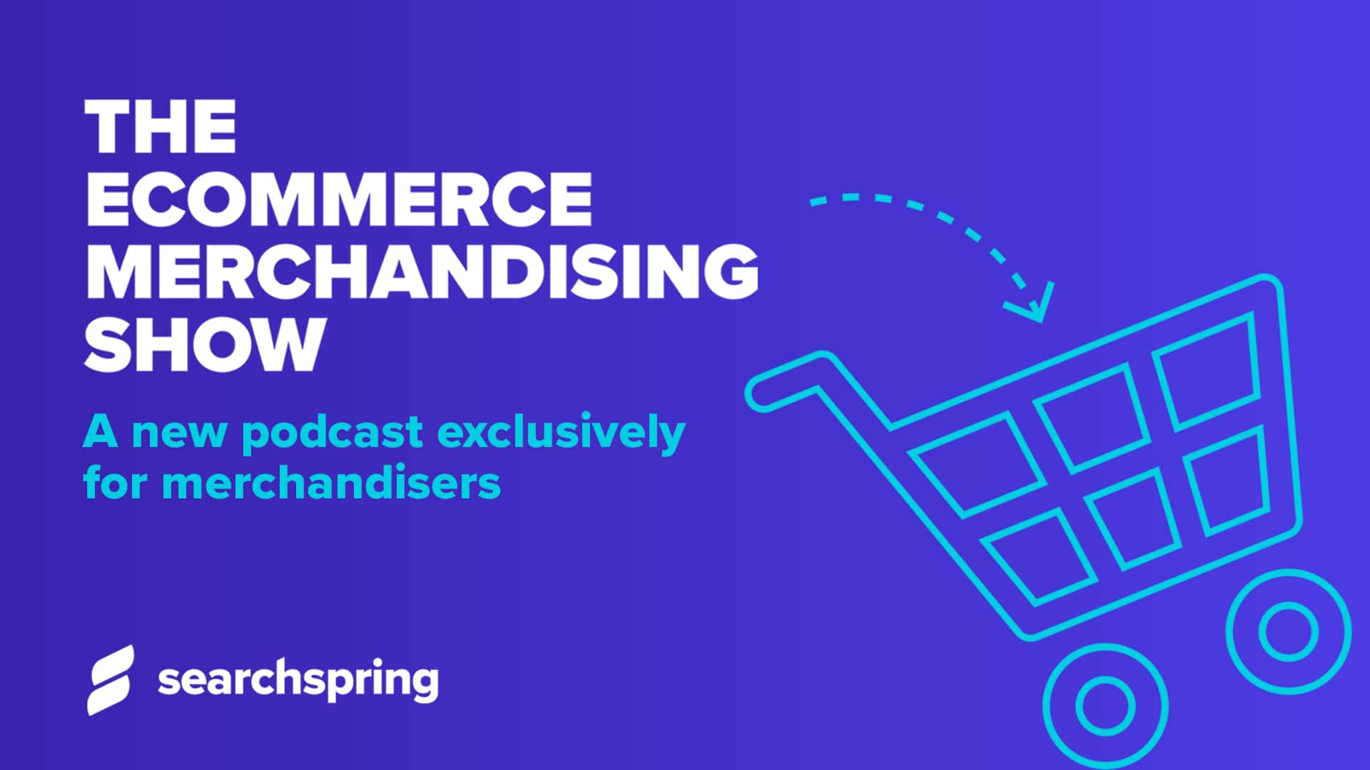 The Ecommerce Merchandising Show