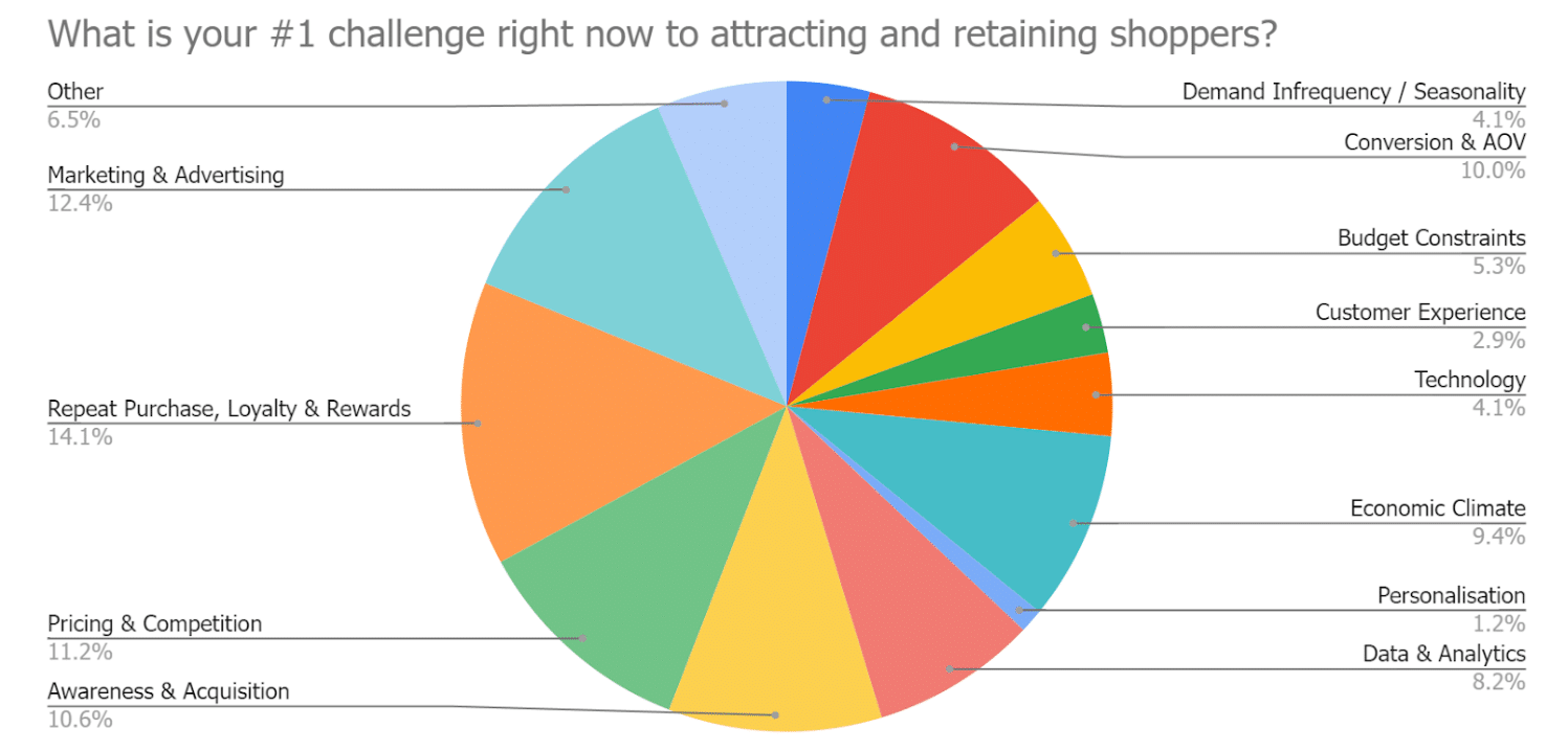 Searchspring-Blog-Slow-Economy-Fast-Ecommerce-Tips-Survey