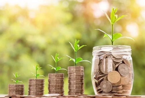 Stack of coins with leaves growing out of the top of them